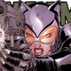 Illustration for article titled A first look at next week's issue of Catwoman